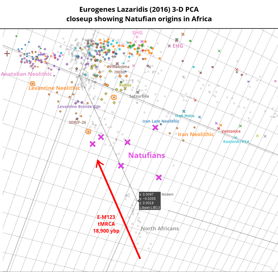 Eurogenes%20Lazaridis%20(2016)%20aDNA%20PCA%20showing%20the%20African%20origin%20of%20the%20Natufians%20(closeup%20with%20annotations).png